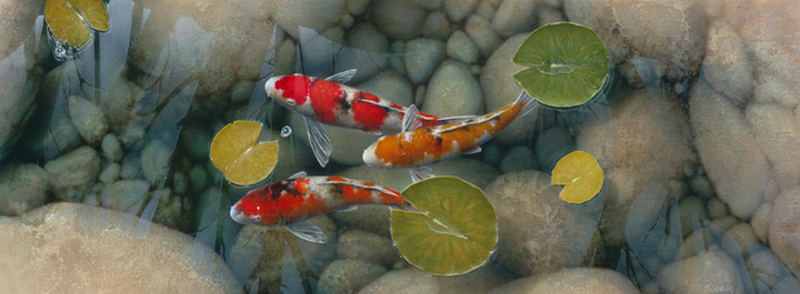 3 koi fish painting