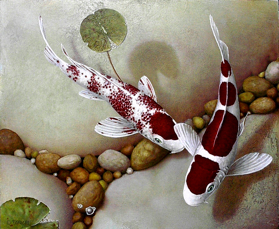 two red and white koi fish