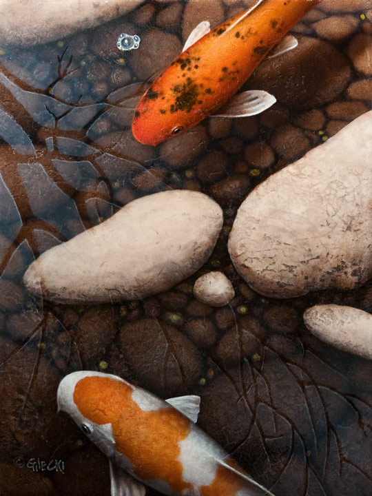 two koi fsh in shallow pond